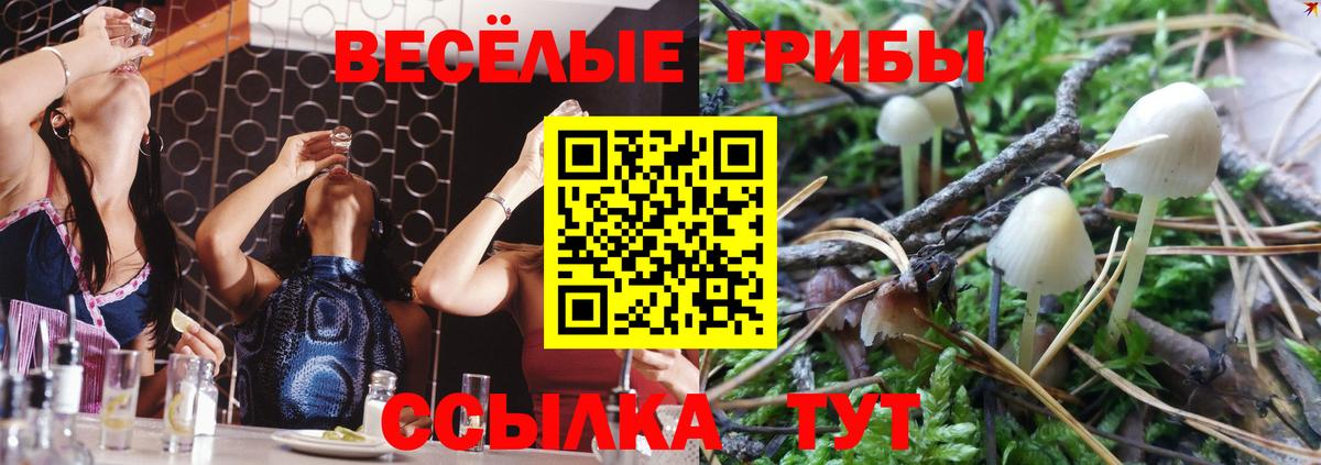 Псилоцибиновые грибы Psilocybe Чебаркуль