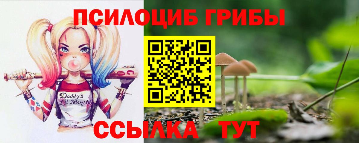 Псилоцибиновые грибы Magic Shrooms  Вход с VPN  Чебаркуль 